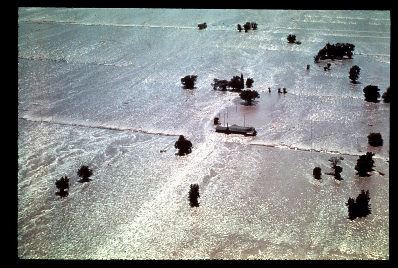 House and trees almost entirely covered and water. 